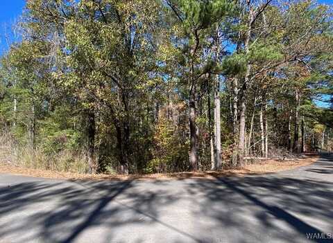 N SHORE DRIVE, Vance, AL 35490
