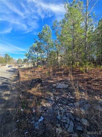 21 Timbertop Lane, Fosters, AL 35463