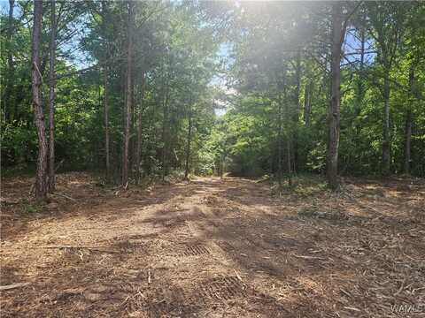 Magnolia Creek lot: 11, Gordo, AL 35466