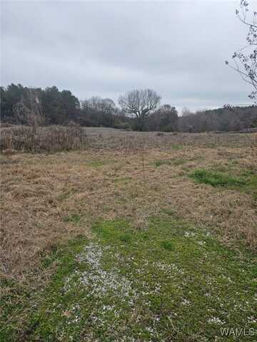 836 county road 7, Greensboro, AL 36744