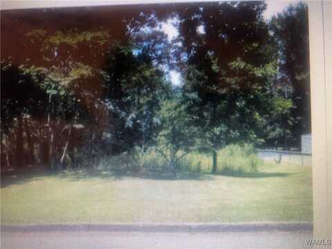 5118 AZALEA Trail, Northport, AL 35473