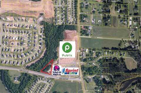 Mitt Lary Road, Northport, AL 35475