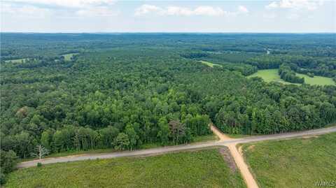 Highway 171, Tuscaloosa, AL 35555