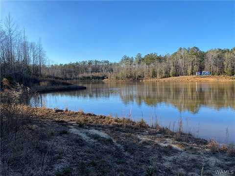 Brown Road, Northport, AL 35475