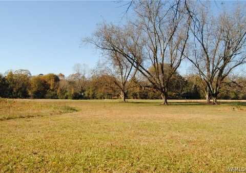5th ave NE, Fayette, AL 35555