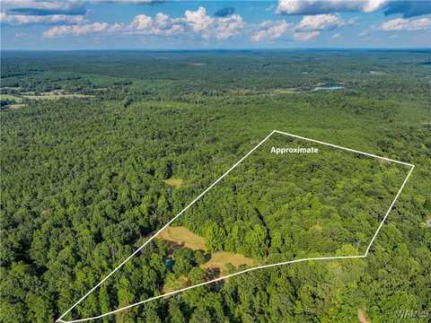 11840 N Scottsville Rd., West Blocton, AL 35184