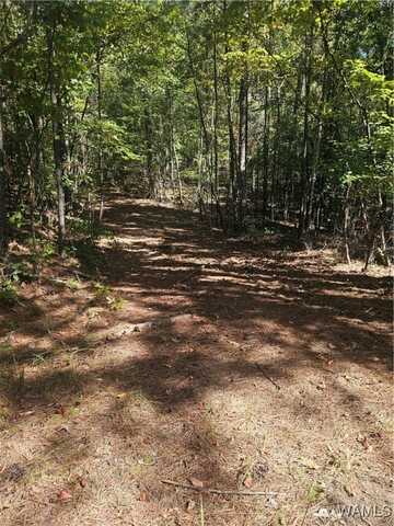 11840 N Scottsville Rd., West Blocton, AL 35184