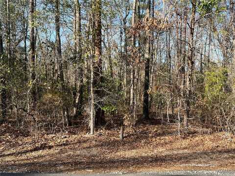 Ashborough Drive, Cottondale, AL 35453