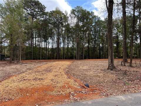 231 Pinecrest Lane, Pickensville, AL 35447
