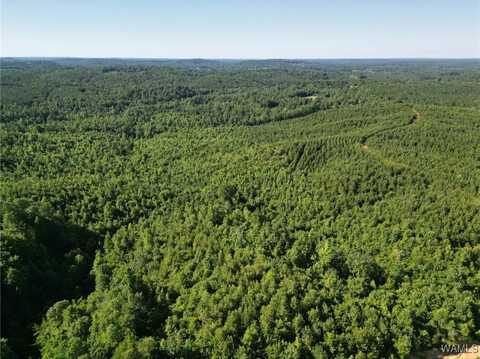 Nubbin Ridge Ln., Carbon Hill, AL 35549