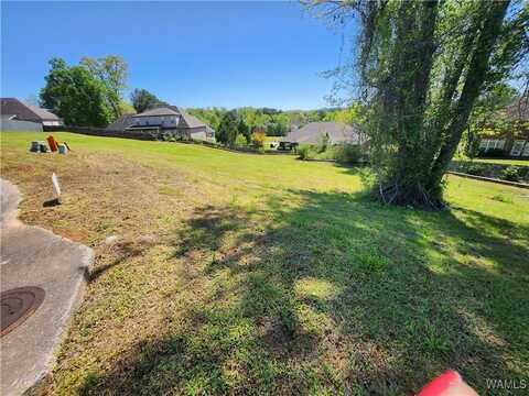 6305 William Circle, Cottondale, AL 35453