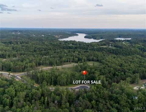 50 Lake Island Rd, Tuscaloosa, AL 35406