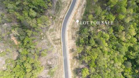 17 Fiji Way, Tuscaloosa, AL 35406