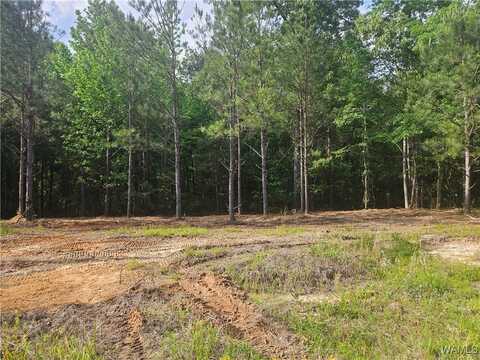 Magnolia Creek Rd lot: 4, Gordo, AL 35466