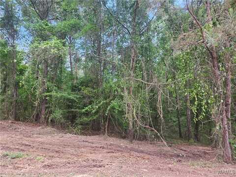 Magnolia Creek lot: 10, Gordo, AL 35466