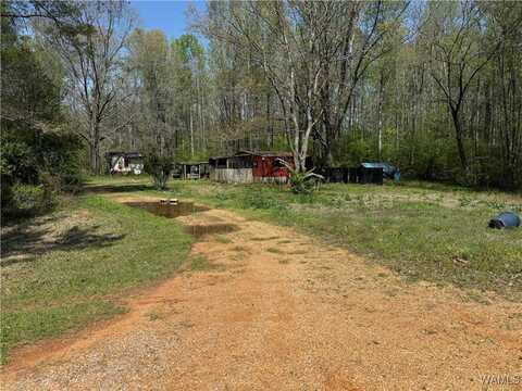 1781 RIVERVIEW BEACH Road, Moundville, AL 35474