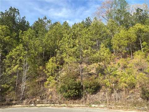 Stone Ridge Pkwy, Brookwood, AL 35444