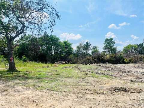 Nash Road, Faunsdale, AL 36738