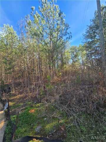 19 Timbertop Lane, Foster, AL 35463