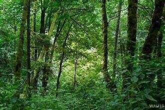 26th Avenue lot: 28, Northport, AL 35473