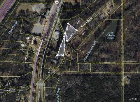 6120 Meadow Run Drive, Trussville, AL 35173