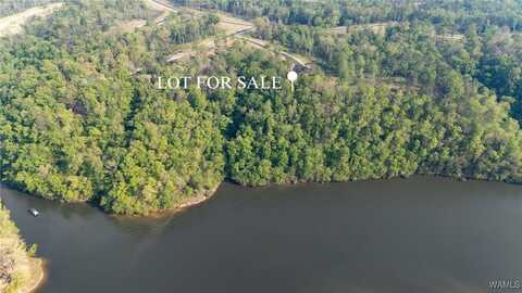 92 Cyprus Cove, Tuscaloosa, AL 35406