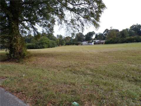 Lee Road, Tuscaloosa, AL 35401