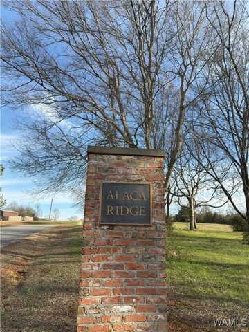 7 ALACA RIDGE Drive, Moundville, AL 35474