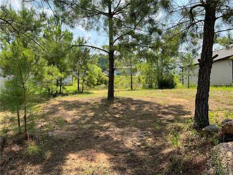 110 Crimson Ridge Rd, Brookwood, AL 35444