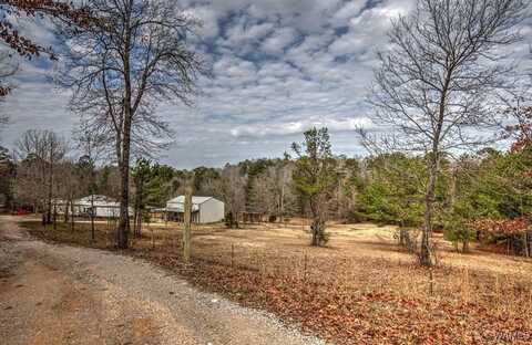 11039 Staghorne Drive, Coaling, AL 35453