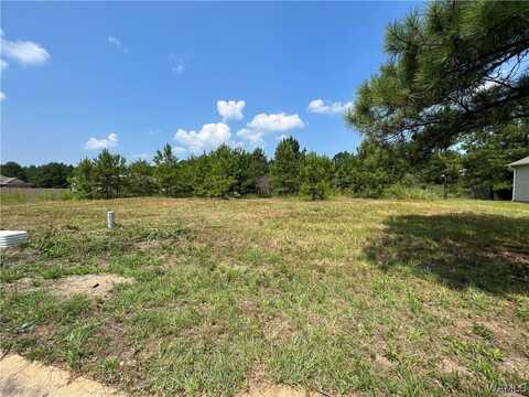 100 Crimson Ridge Rd, Brookwood, AL 35444