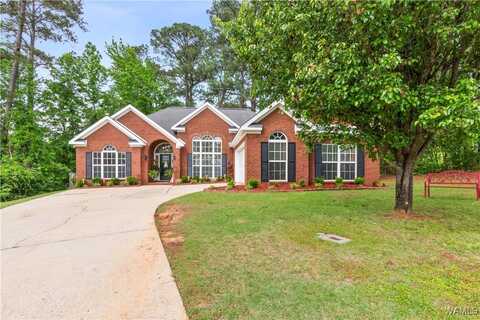 11483 St. Joseph Street, Northport, AL 35475