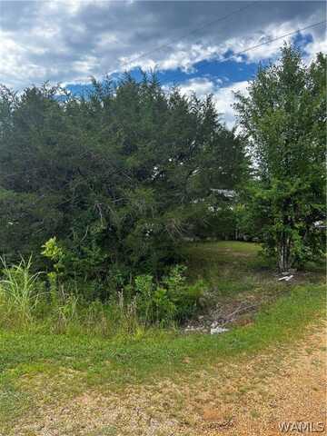 5696 Co Rd 28, Sawyerville, AL 36776