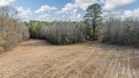 Brush Creek Dr., Akron, AL 35441