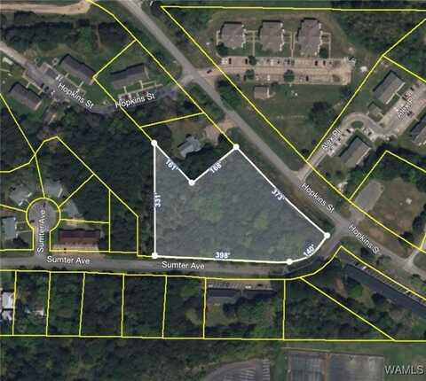Sumter Ave, Livingston, AL 35470
