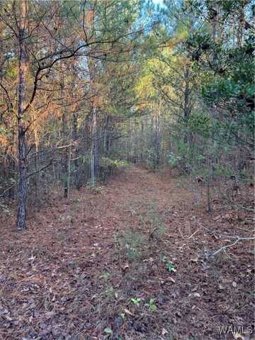 Bama Lane, Woodstock, AL 35188