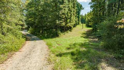 Lake Judson Road, Duncanville, AL 35456