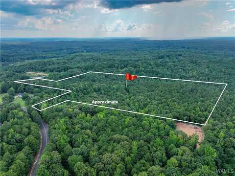Martin/Martin Spur Road, Northport, AL 35475