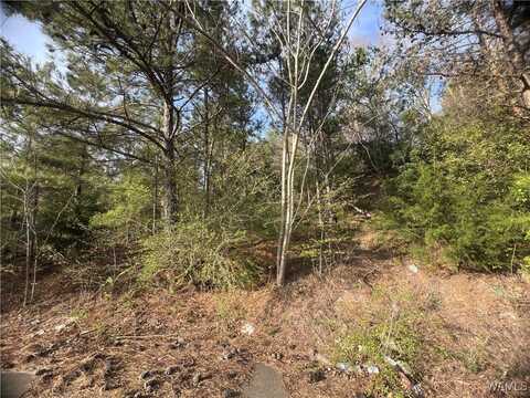 Lexie Lane, Brookwood, AL 35444