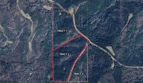 00003 Pleasant ridge road, Fayette, AL 35555