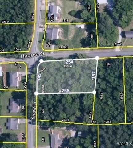 Hudson Street, Coker, AL 35452