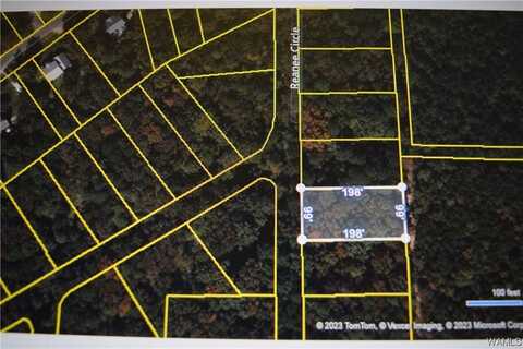 7 Renaee Circle, Lake View, AL 35111