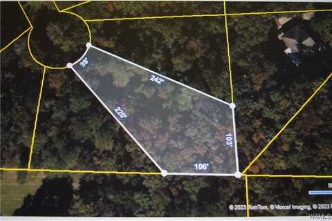 40 Sierra Circle, Lake View, AL 35111