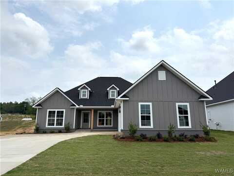 13949 Glen Park Ave, Northport, AL 34675