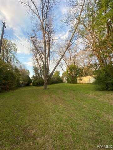 2828 29th street, Tuscaloosa, AL 35401