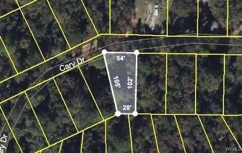 Cary Drive, Mc Calla, AL 35111