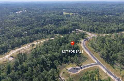 105 Anguilla Ave, Tuscaloosa, AL 35406