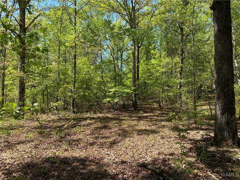 VIC GREEN RD, Northport, AL 35475