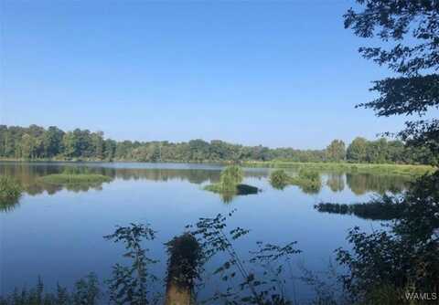 13 Cypress Point Drive, Akron, AL 35441