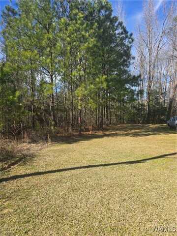 15 TIMBERTOP Lane, Foster, AL 35463